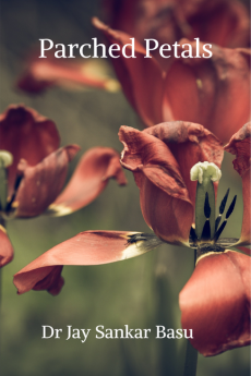 Parched Petals (B &amp; W)