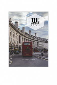 THE AMATEUR LOVE : THE TRAVEL DIARY