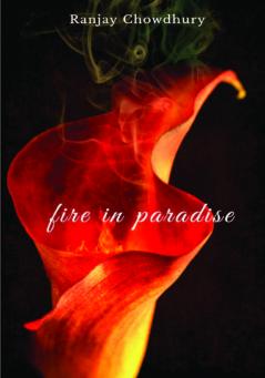 Fire in Paradise