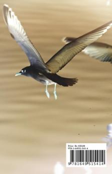 Maranathin Marmam / மரணத்தின் மர்மம் : Thodarum Maranam