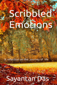 Scribbled Emotions : A reflection on the journey of life