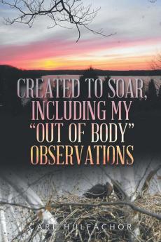Created to Soar Including My Out of Body Observations