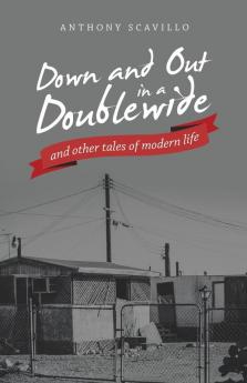Down and out in a Doublewide and Other Tales of Modern Life