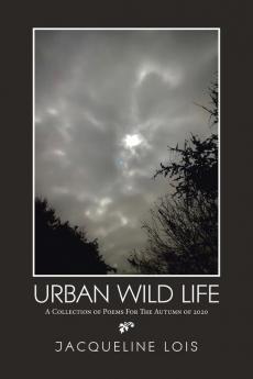 Urban  Wild   Life