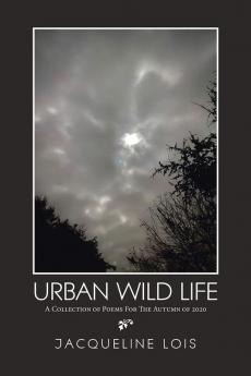 Urban  Wild   Life