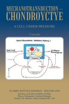Mechanotransduction - Chondroyctye