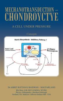 Mechanotransduction - Chondroyctye