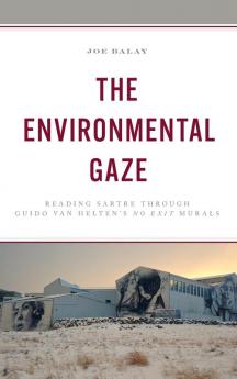 Environmental Gaze