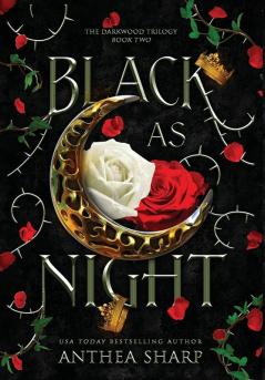 Black as Night: A Dark Elf Fairytale: 2 (The Darkwood Trilogy)