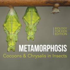 Metamorphosis: Cocoons & Chrysalis in Insects Biology for Kids Edition