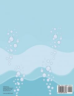 Hiding in Plain Sight! Hidden Pictures Activity Book