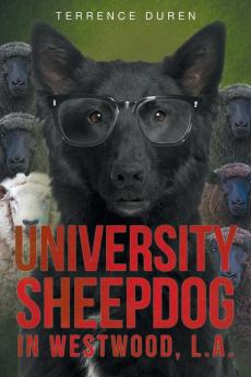 University Sheepdog in Westwood L.A.