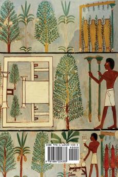 The Negro in Ancient History