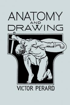 Anatomy and Drawing