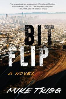 Bit Flip: A Novel