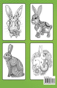 Lovely Rabbits Coloring Book for Adults : Bunny Coloring Pages for Stress Relief and RelaxationFun Bunny Coloring