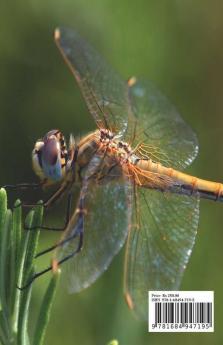 Pedagogy Of Biological Science : (For B.Ed. Course Second Year Based On Pondicherry University Syllabus)
