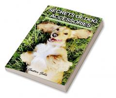 Secrets of Dog Accessories : A Guide To Pet Parents To Understand Dog Accessories