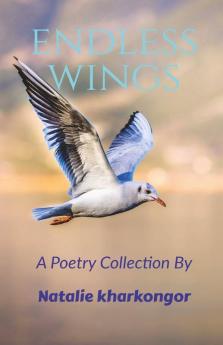 Endless Wings