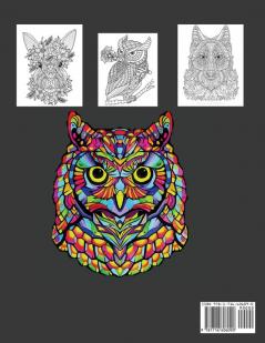 Adult coloring book