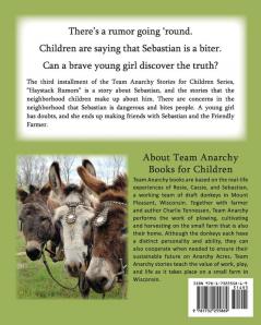 Haystack Rumors: 3 (Team Anarchy Stories for Children)