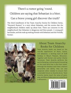 Haystack Rumors: 3 (Team Anarchy Stories for Children)