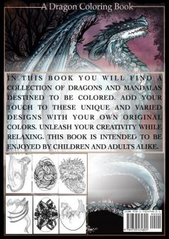 Tails of the Skies: A Dragon Coloring Book