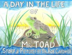 A Day in the Life of Mr. Toad