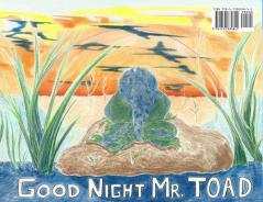 A Day in the Life of Mr. Toad