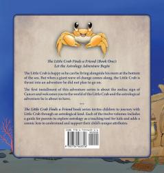 The Little Crab Finds A Friend