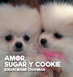 Amor Sugar y Cookie
