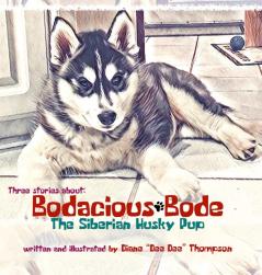 Bodacious Bode - The Siberian Husky Pup: 1