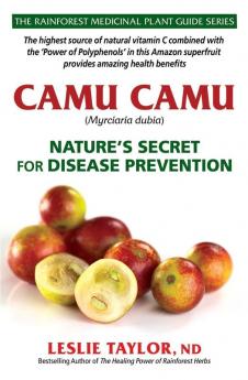 Camu Camu: Nature's Secret for Disease Prevention: 3 (The Rainforest Medicinal Plant Guide)