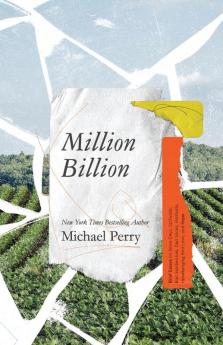 Million Billion: Brief Essays on Snow Days Spitwads Bad Sandwiches Dad Socks Hairballs Headbanging Bird Love and Hope.