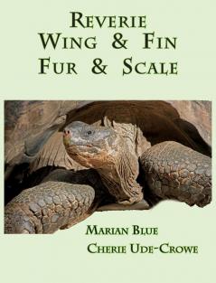 Reverie  Wing & Fin  Fur & Scale