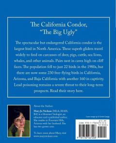 The California Condor "The Big Ugly"