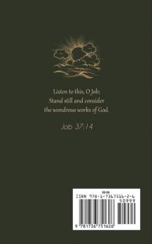 Stand Still and Consider: A Commentary on Arguments in the Book of Job