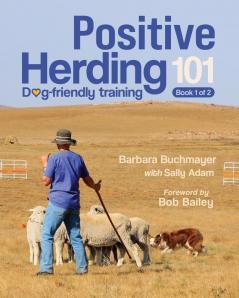 Positive Herding 101