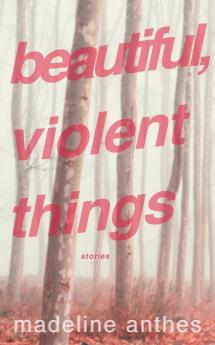 Beautiful Violent Things