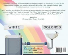 The Colored Water Fountain