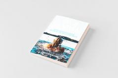 Sink or Swimwear