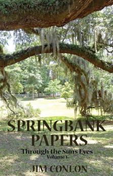 Springbank Papers: Through the Sun's Eyes (Volume I)