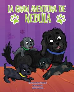 LA GRAN AVENTURA DE NEBULA