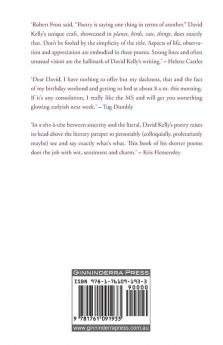 planes birds cats things