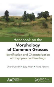 Handbook on the Morphology of Common Grasses