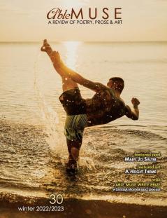 Able Muse Winter 2022/23 (No. 30 - print edition)