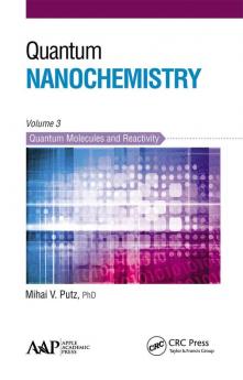 Quantum Nanochemistry Volume Three