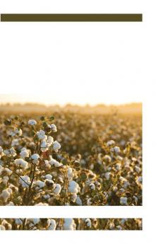 Advances in Cotton Science
