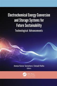 Electrochemical Energy Conversion and Storage Systems for Future Sustainability