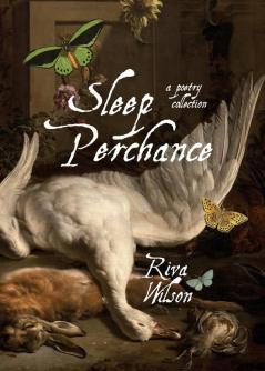 Sleep Perchance: A Poetic Journey of Love Awakening and Transformation